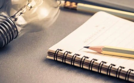 দিনলিপি লেখার নিয়ম HSC SSC ১০টিসহ