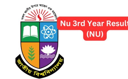 NU Honours 3rd Year Result 2025 (মার্কশীট ও সিজিপিএসহ রেজাল্ট)