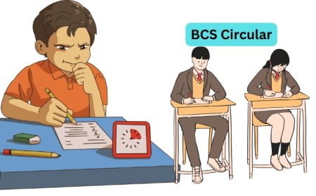 বিসিএসে বিদ্যমান ২৬ ক্যাডারের বিস্তারিত