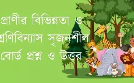 প্রাণীর বিভিন্নতা ও শ্রেণিবিন্যাস সৃজনশীল বোর্ড প্রশ্ন ও উত্তর ২০২৫-২০২৬