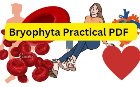 Bryophyta Practical PDF / Honours 2nd Year