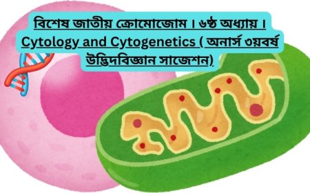 বিশেষ জাতীয় ক্রোমোজোম । ৬ষ্ঠ অধ্যায় । Cytology and Cytogenetics ( অনার্স ৩য়বর্ষ উদ্ভিদবিজ্ঞান সাজেশন)