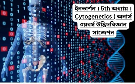 ইনভার্শন । ৫ম অধ্যায় । Cytogenetics ( অনার্স ৩য়বর্ষ উদ্ভিদবিজ্ঞান সাজেশন