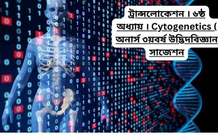 ট্রান্সলোকেশন । ৬ষ্ঠ অধ্যায় । Cytogenetics ( অনার্স ৩য়বর্ষ উদ্ভিদবিজ্ঞান সাজেশন