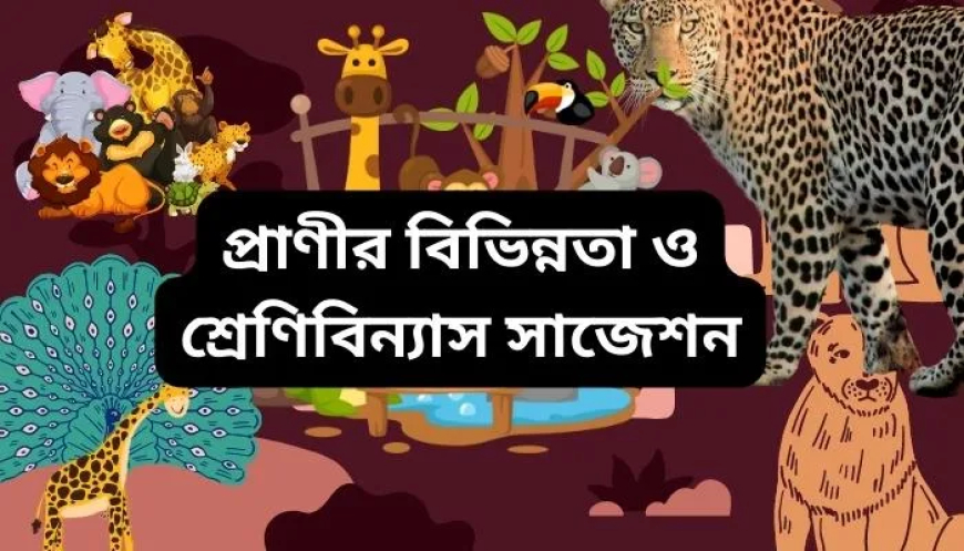 প্রাণীর বিভিন্নতা ও শ্রেণিবিন্যাস সাজেশন । সৃজনশীল ২০২৫-২০২৬