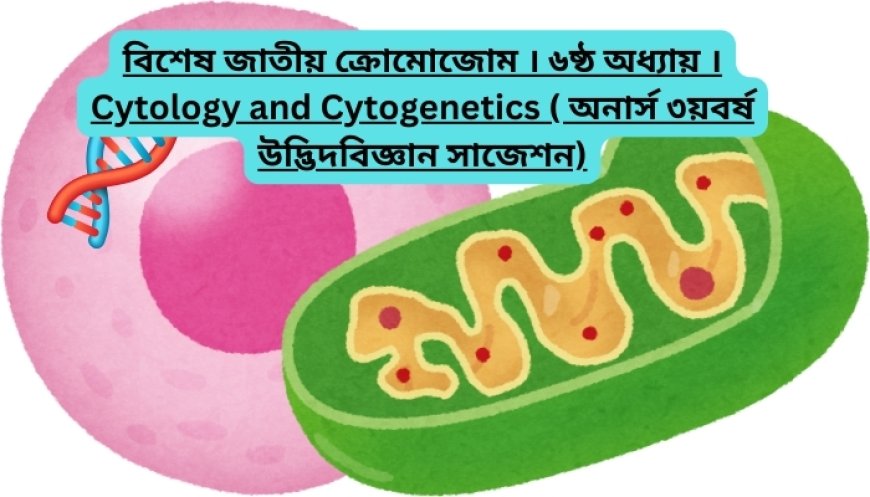 বিশেষ জাতীয় ক্রোমোজোম । ৬ষ্ঠ অধ্যায় । Cytology and Cytogenetics ( অনার্স ৩য়বর্ষ উদ্ভিদবিজ্ঞান সাজেশন)