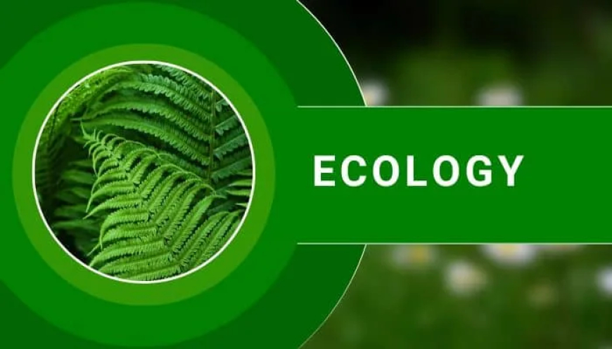 Ecology suggestion & Question Bank । অনার্স ৩য়বর্ষ প্রাণিবিজ্ঞান সাজেশন